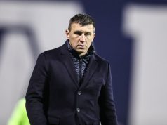 Sergej Jakirovic Hull City