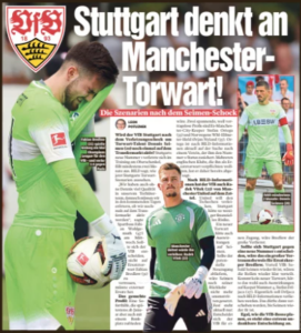 Interest in Manchester United's Radek Vítek reported in Germany